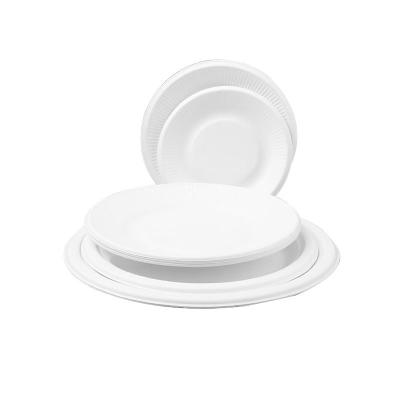 China Sugarcane Bagasse White Biodegradable Food Plate Compostable for sale