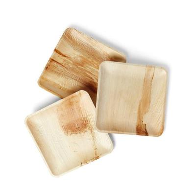 China OEM Biodegradable Palm Leaf Plates With Laminated Packing for sale