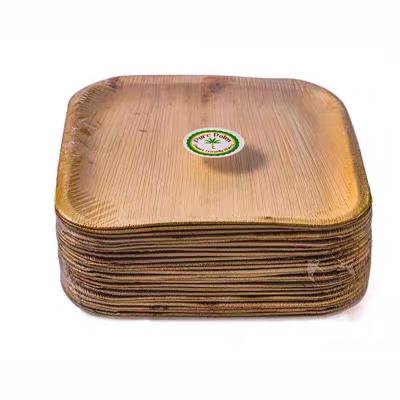 China Biodegradable Disposable 10 Inch Square Areca Palm Leaf Plates For Corporate Events for sale