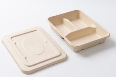 China One Time Use Dinner Plate Biodegradable Food Containers Compostable for sale