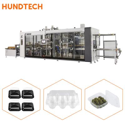China Beverage Shops Hips Plastic Thermoforming Machine Tray Forming Equipment for sale