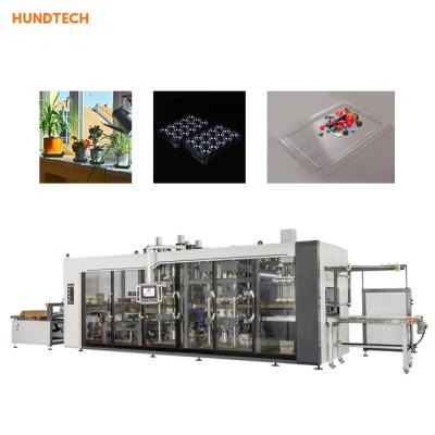 China High Efficiency Multistation Tray Forming Machine Vacuum Forming Equipment for sale