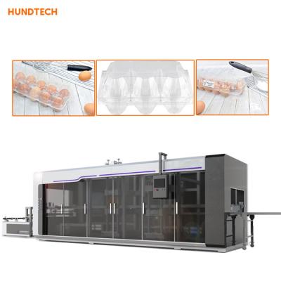 China Four stations Egg Tray Manufacturing Machine Egg Packaging Thermoforming machine for sale