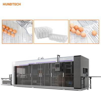 China PLC Egg Tray Making Machine Egg Carton Blister Machine Thermoforming Reusable Plastic for sale