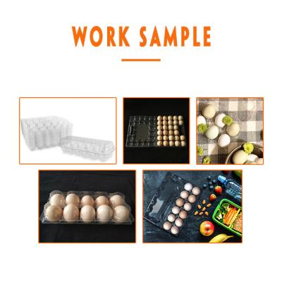 China Pet Plastic Egg Tray Manufacturing Machine Vacuum Forming Packaging for sale