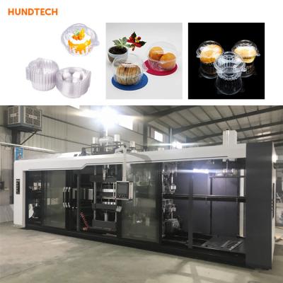China PET Square Sweet Food Box Making Machine Thermoforming Station 25Cycles/min for sale