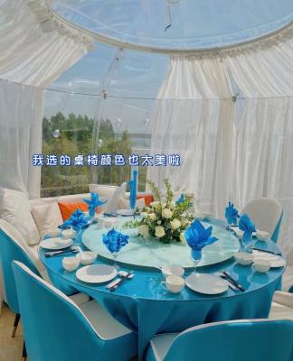 China Starry Sky Outdoor Bubble Tent House Handy Installation Multifunctional Use for sale