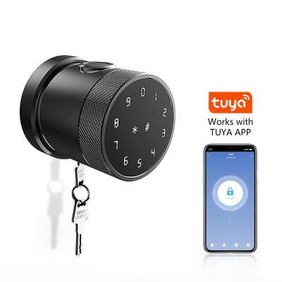 China Draadloze Zinklegering Digitale elektronische vingerafdrukherkenning slimme deur slot met Tuya App of TTLock App GL-H4 Te koop