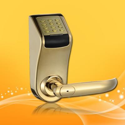 China Password Door Lock Low Voltage Warning with Mechanical Key and Electronic Deadbolt for sale