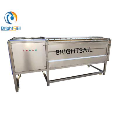 China Industrial Factory Ginger Washing Machine in Washing Machines from Brightsail for sale