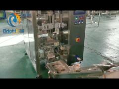 Vertical Auto Pouch Packing Machine Hot Sealing For Foodstuff Industry