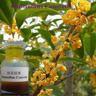China CAS NO. 68917-05-5 Natural osmanthus concrete plant essential oil for sale