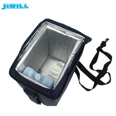China 48 Hours 4L Vaccine Carrie Vacuum Insulated Cooler Box With Strap for sale