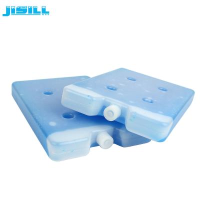 China 650ml Custom Plastic Colorful Ice Cooler Brick Frozen Plate For Ice Cream Cart for sale