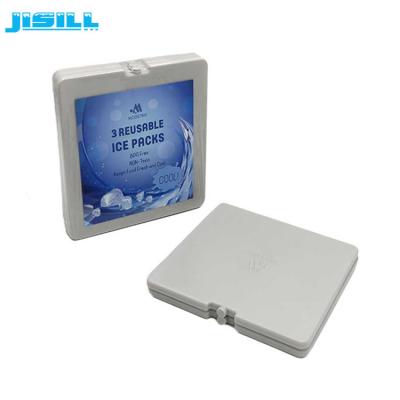 China Thermal Type Lunch Ice Packs Plastic Ice Box With Capacity 290ml for sale