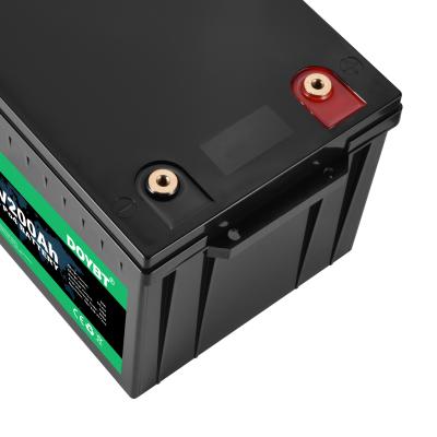China Litio Ion Battery Pack 12V 100A de 200AH Lifepo4 en venta