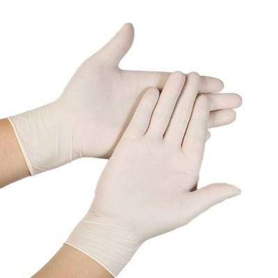 China OEM ODM Powderless Latex Gloves / Latex Disposable Gloves Large for sale