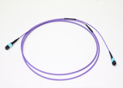 China 24 Cores Fiber Optic MPO MTP Cable Multimode OM4 OFNP Violet 100ft Length for sale