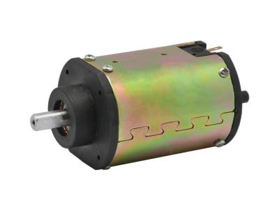 China 10W-1000W Magnet DC Motor With Customizable Efficiency For Various Applications for sale