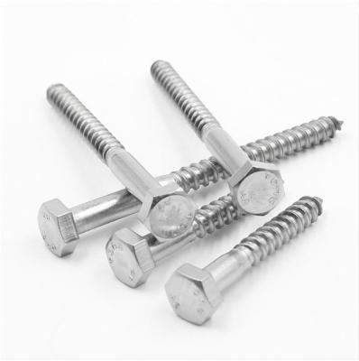 China Ss 304 316 Hex Wood Screw With Zinc White DIN 571 for sale