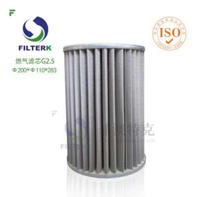 China Natrual Gas Cartridge Filters G series with Polyester Needle Punched Felt 400g/m2 G2.0 for sale