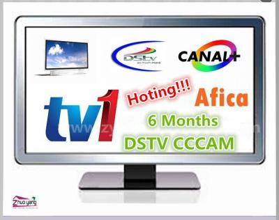 China O servidor alto CCCAM Newcam do receptor satélite TV1 da definição DVB-S esclarece África DSTV 36E à venda
