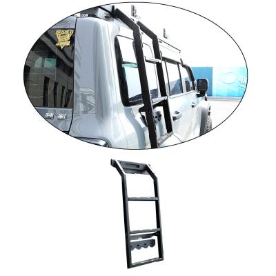 China Tank 300 500 4x4 Offroad Accessories Car Roof Mount Magnet Side Ladder for GWM High- for sale