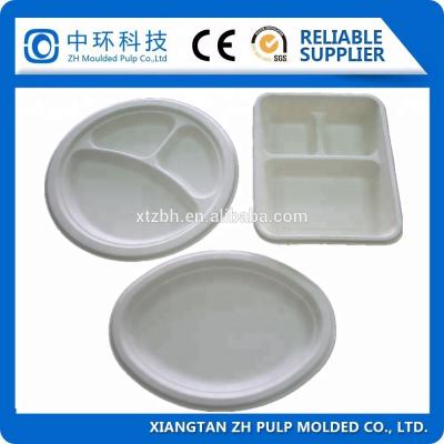 China Clamshell Food Packing Container Making Machine 20t Paper Tray Forming for sale