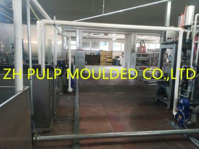 China CE Certified Pulp Plate Making Machine 100KW For Plastic Container for sale