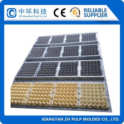 China Semi Auto Egg Tray Packaging Machine , Reciprocating Fruit Tray Machine for sale