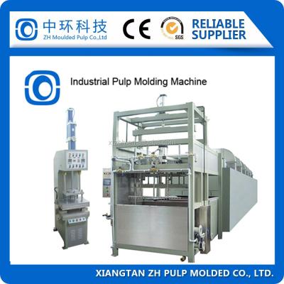 China Pulp Egg Box Forming Machine for sale