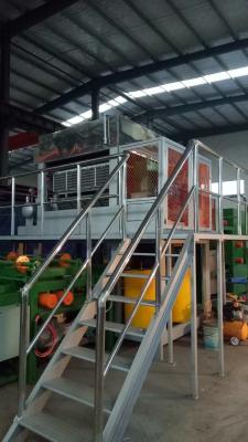China Gran Producción de cartón de huevo de la máquina de fabricación de papel bandeja de formación rotativa en venta