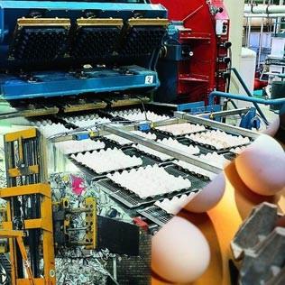 China Linha de produção de cartões de ovos de polpa 30kw Fabricação de pratos de papel pesado à venda