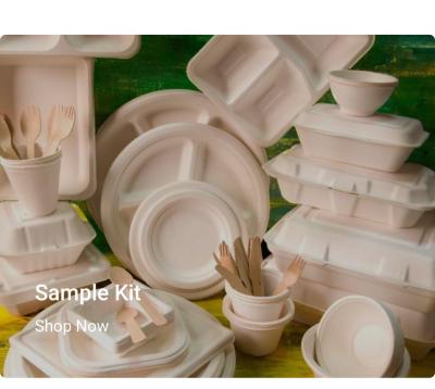 China Máquina de fabricação de placas de celulose reciclável 30kw para tigela descartável à venda