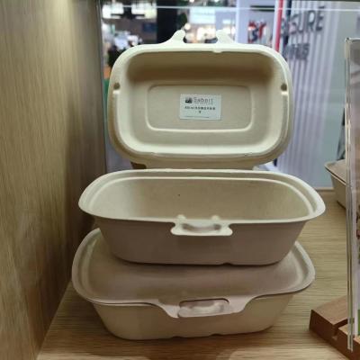 China Máquina de moldeo de pasta de pasta de bagajes pesados Eco amigable Contenedor de alimentos para llevar en venta