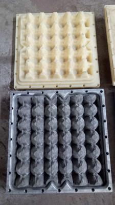 China Molde de cartón de huevo personalizable, molde de bandeja de plástico Servicio EDM en venta