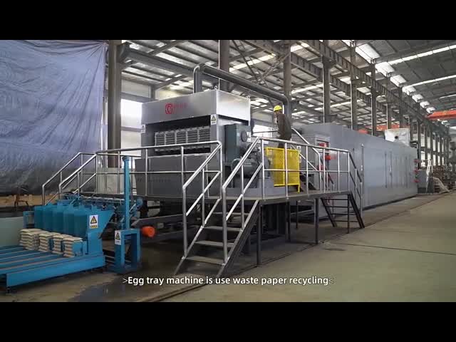 paper pulp egg tray/egg carton/fruit tray making machine production line