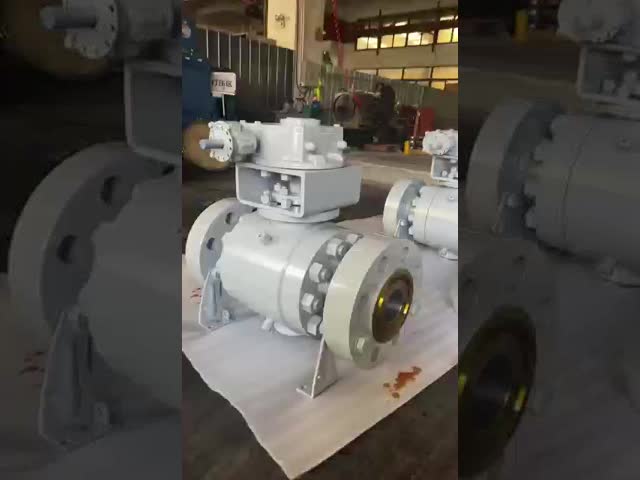 Forged Trunnion Ball Valve High Shut Off Sealing Mechanism And Low Torque Operation