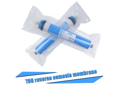 China Dry  RO Membrane Water Filter Membrane , Reverse Osmosis Water Filter Replacement for sale