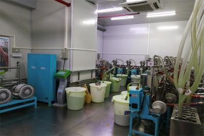 China Sistema de alimentação de mistura de secagem centralizado de aço inoxidável para o transporte de materiais à venda