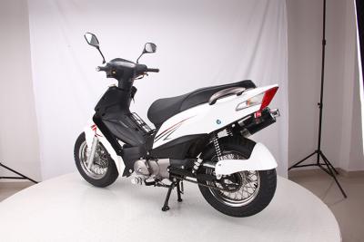 Cina Base di ruota leggera principale del motociclo 1310mm della via del cucciolo con il metro di Digital in vendita