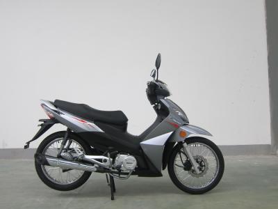 China Motocicleta de Underbone Cub de la rueda del rayo 125 cc caja media grande de 135 cc en venta