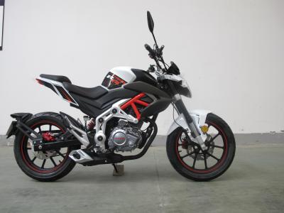 China 8000 RPM Brutale 250 motocicleta despida do esporte de 6 engrenagens à venda