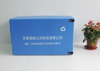 China Os PP autoadesivos corrugaram a caixa plástica 620x420x380mm à venda