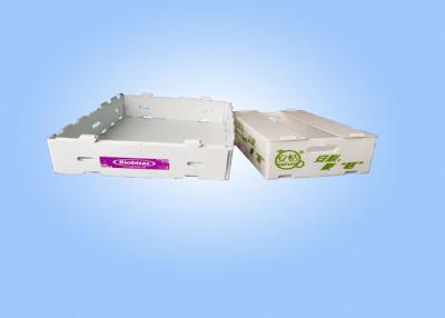 China Caixas de armazenamento plásticas onduladas recicláveis de Corflute das caixas de armazenamento à venda