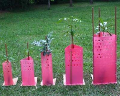 China Protetores plásticos ondulados impermeáveis da árvore, envoltório plástico ondulado da árvore à venda