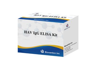 China HAV IgG Elisa Kit Antibody Diagnostic Kit For Hepatitis A Virus for sale
