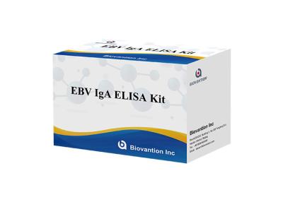 China EBV-VCA IgA Ab Test ELISA Kit Enzyme Immunoassay Test Plasma Specimen for sale