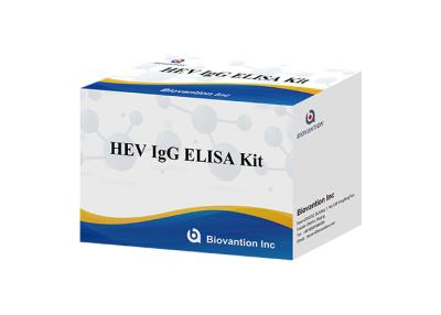 Cina Anticorpo umano di HEV Igg Elisa Kit Diagnostic For IgG al virus di epatite E in vendita