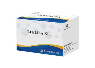 China Teste do soro do Thyroxine T4 Elisa Test Free T4 do ISO 110 minutos lidos tempo à venda